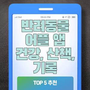반려동물 어플 앱 TOP 5 추천 (건강, 산책, 기록)